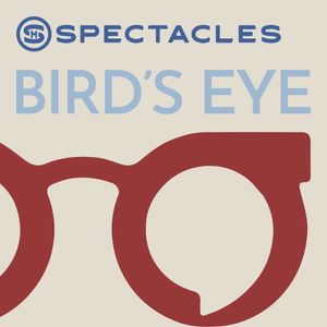 Editorial Introduction | Bird's Eye