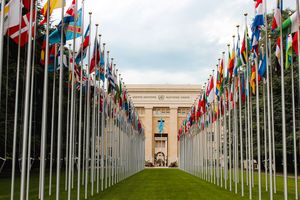 The Future of Peace, Part I | Bird's Eye