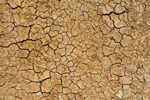 Climate Change: the Failure of Institutions at Home and Abroad | Insight